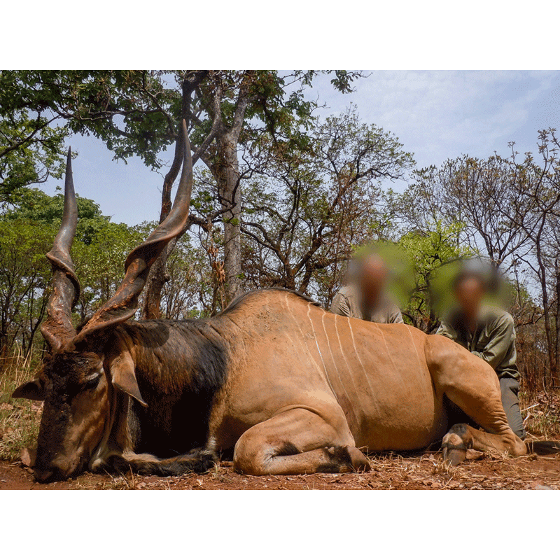 Hunting In Faro National Park