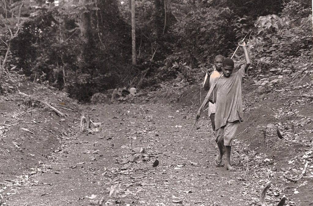 Hunting In Lobeke National Park