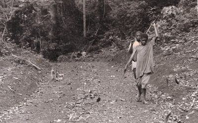 Hunting In Lobeke National Park