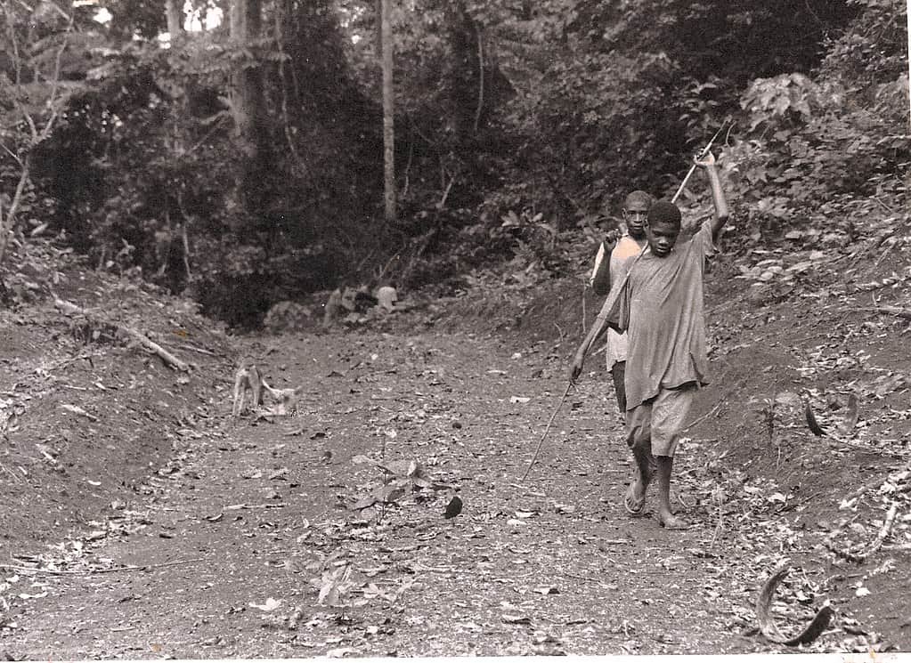 Hunting In Lobeke National Park