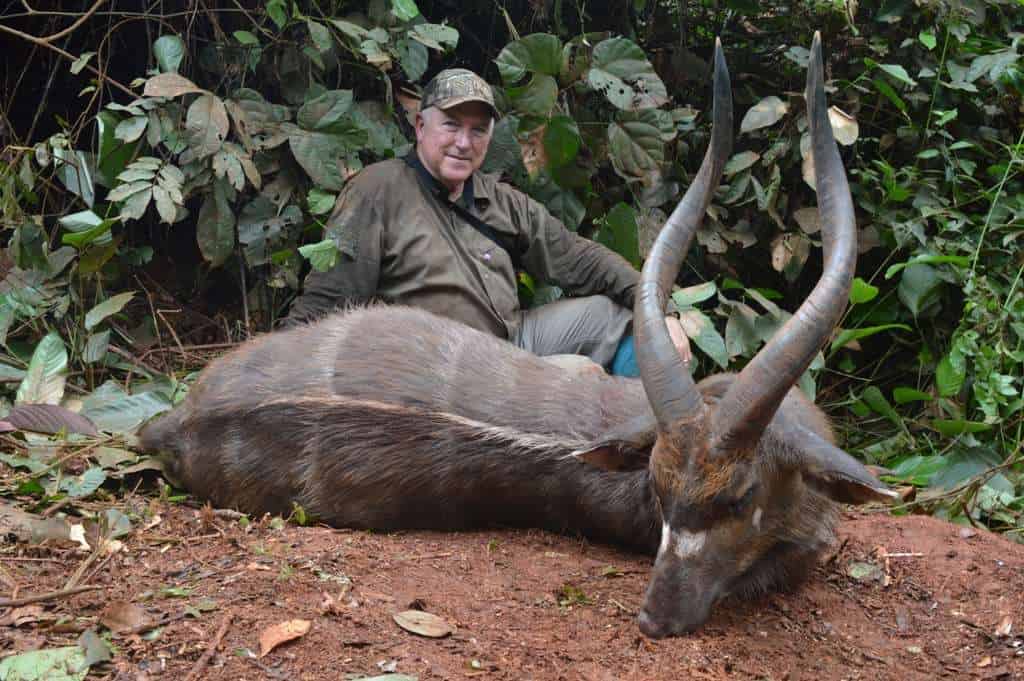 Hunting In Lobeke National Park