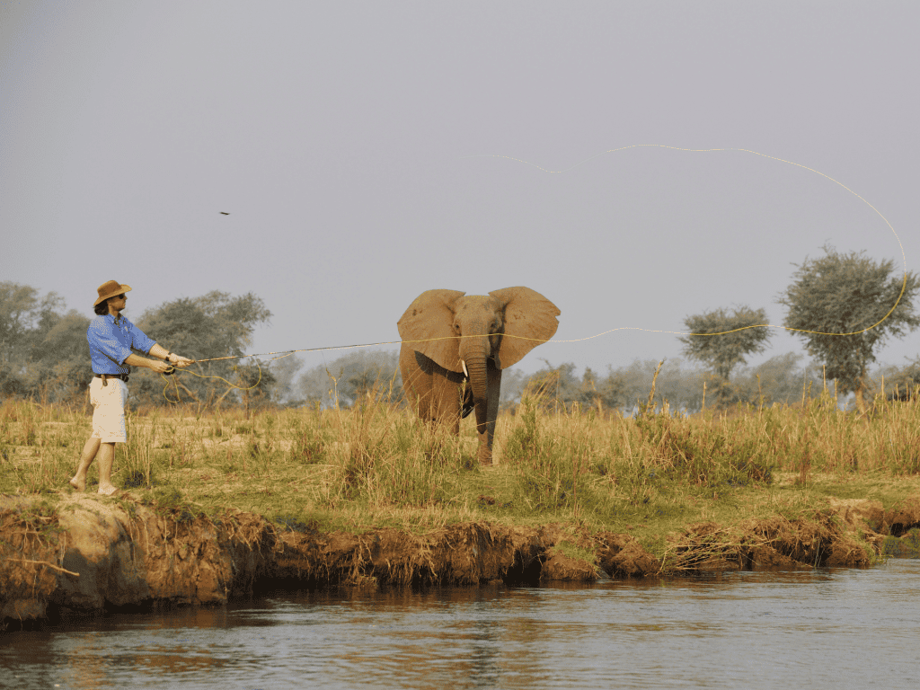 Hunting In Lower Zambezi