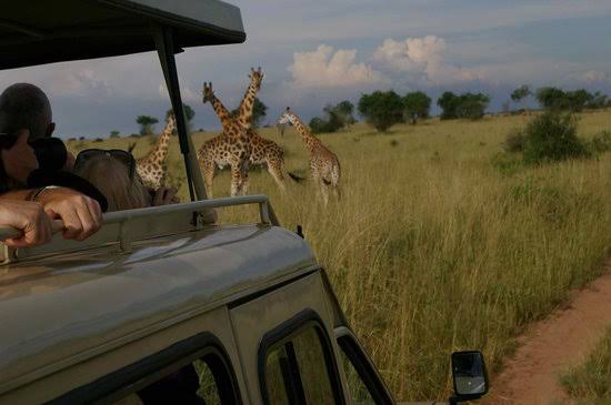 Hunting In Murchison Falls National Park