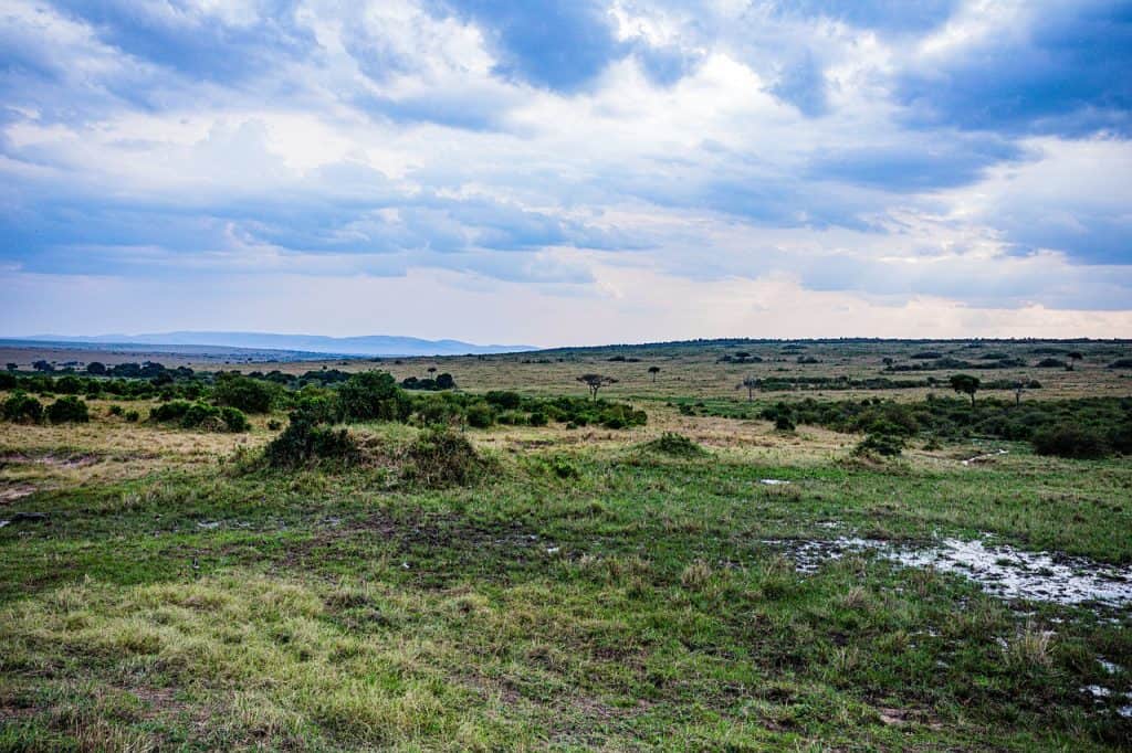 Hunting In Mwiba Wildlife Reserve