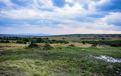 Hunting In Mwiba Wildlife Reserve