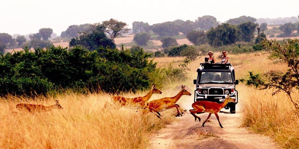 Hunting In Queen Elizabeth National Park