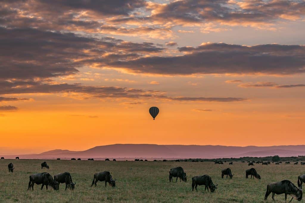 Hunting In Ugalla Game Reserve