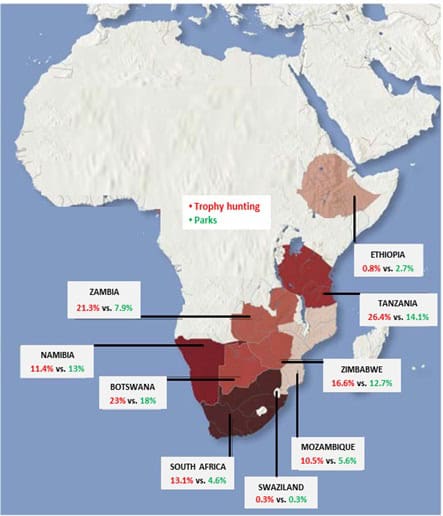 What Are The Dangers Of Hunting In Africa Compared To Other Regions?