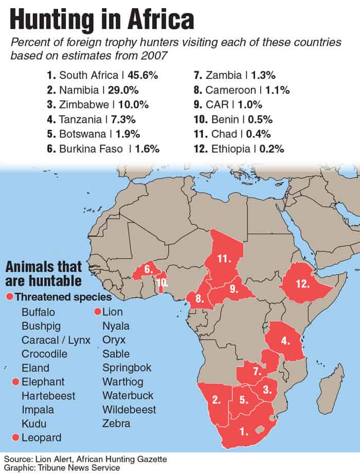 What Are The Dangers Of Hunting In Africa Compared To Other Regions?