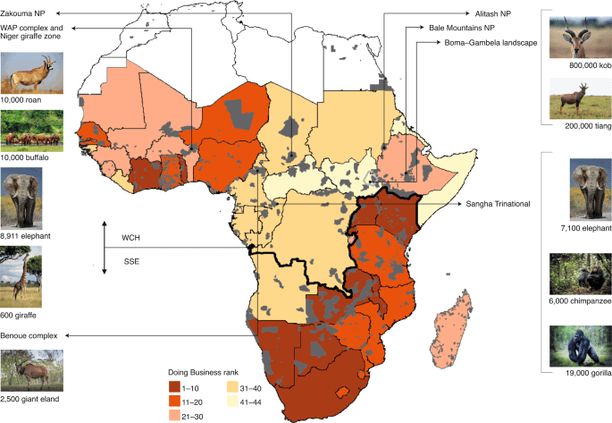 What Are The Dangers Of Hunting In Africa Compared To Other Regions?